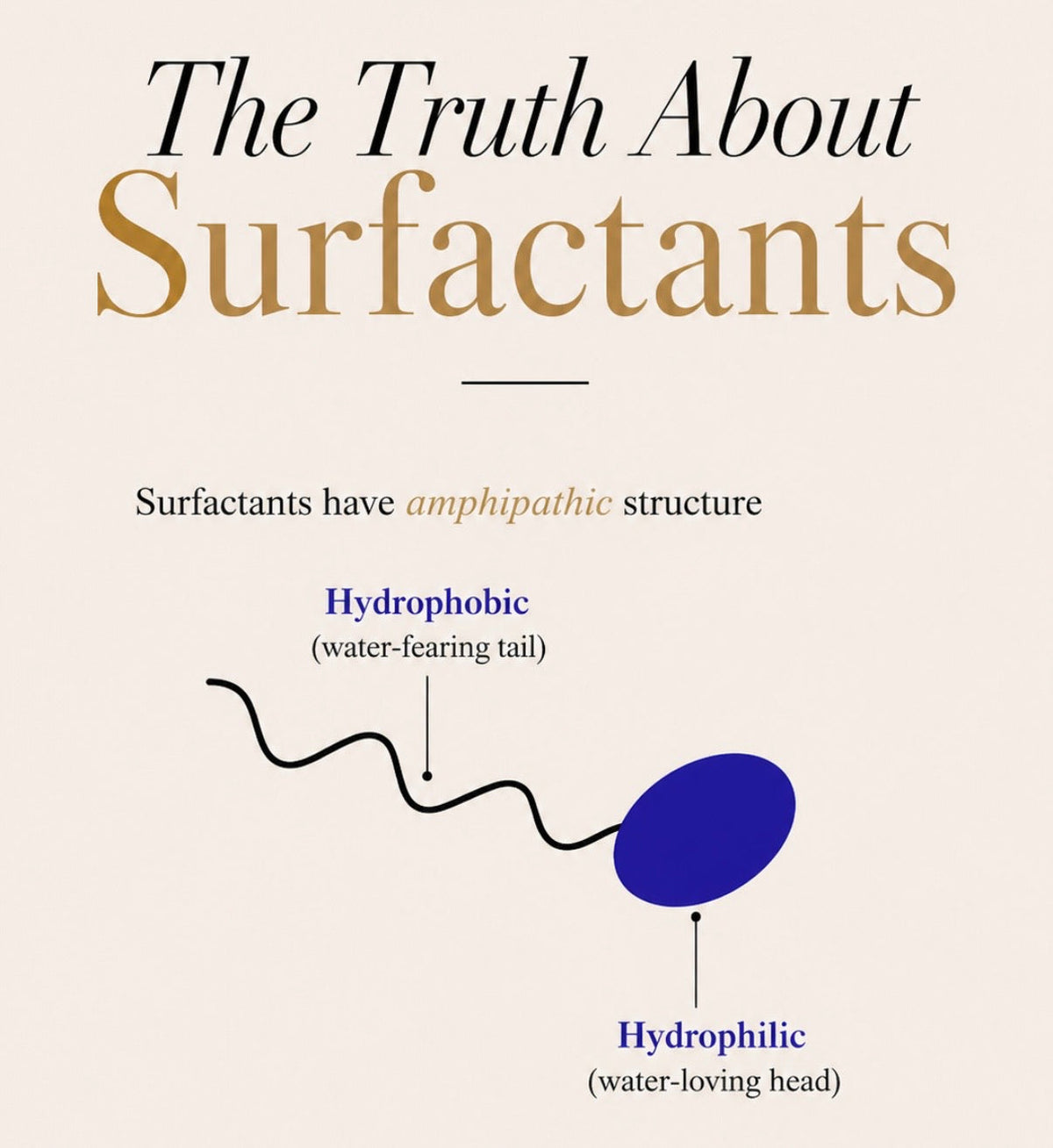 Diagram of a surfactant molecule showing its water-fearing tail and water-loving head