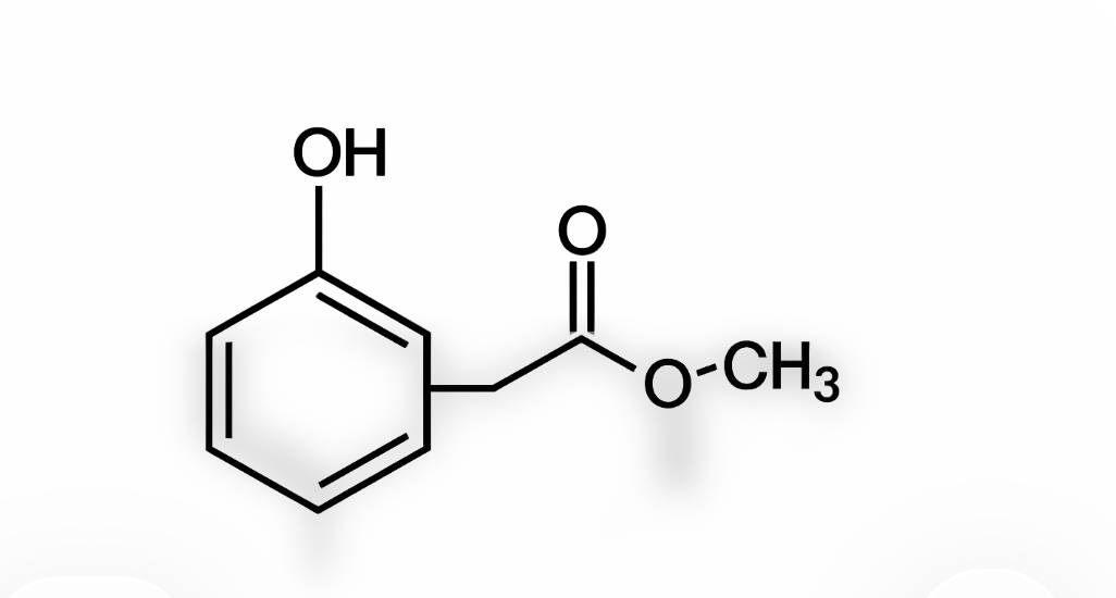 Chemical structure diagram used to illustrate paraben preservatives